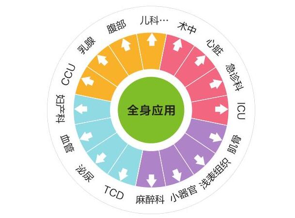 c3-1.jpg